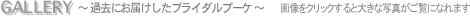 GALLERY `ߋɂ͂uC_u[P`
