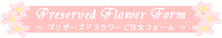 vU[uht[tH[`