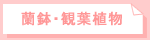 EϗtA